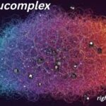 Sankkucomplex: Understanding the Fear of Being Single in a Couple-Oriented World Sankkucomplex