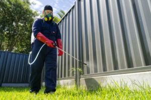 Effective Termite and Pest Control Solutions in Malaysia