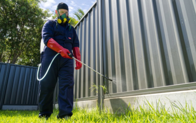 Effective Termite and Pest Control Solutions in Malaysia